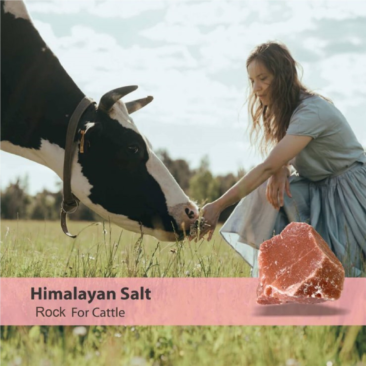 Himalayan Rock Salt for Livestock (45 lb) - Image 1