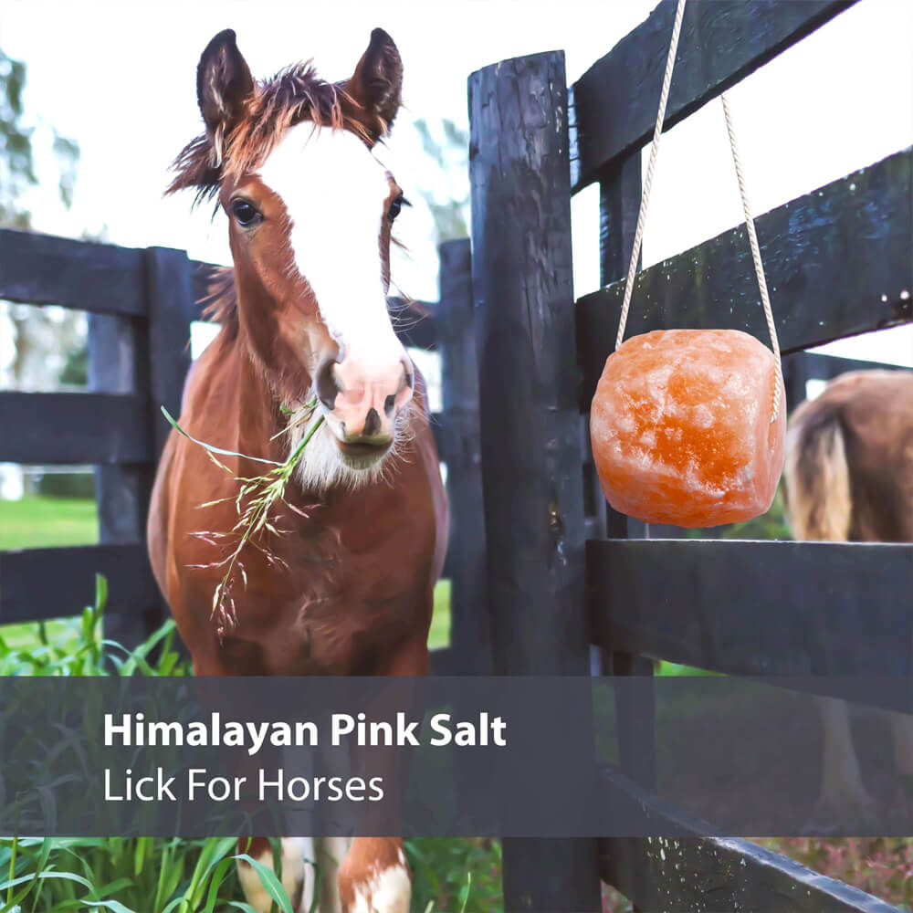 Himalayan Pink Salt Licks for Horses 2 lb