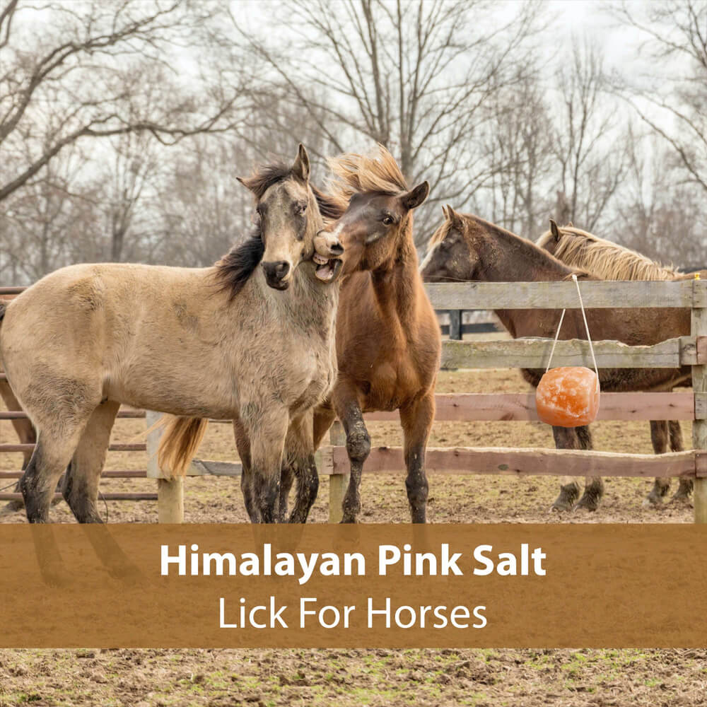 Himalayan Pink Salt Lick with Rope thumbnail 5