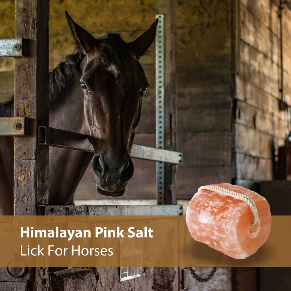 Himalayan Pink Salt Lick with Rope thumbnail 6